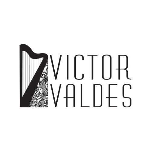 VV Entertainment