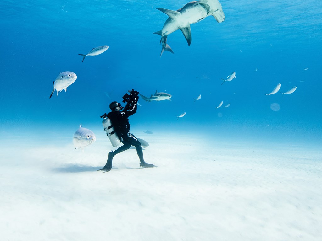 Image taken by Emma Casagrande for Ocean Film Festival World Tour 2021. Image shows an underwater photographer standing on the ocean floor surrounded by fish, and taking a photograph of a shark swimming above him.